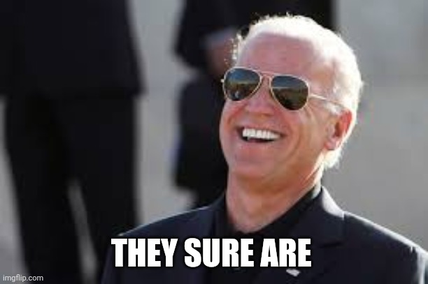 Biden Laughing | THEY SURE ARE | image tagged in biden laughing | made w/ Imgflip meme maker