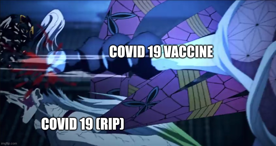Covid meme with Daki | COVID 19 VACCINE; COVID 19 (RIP) | image tagged in funny memes,memes,coronavirus,demon slayer,funny,covid vaccine | made w/ Imgflip meme maker