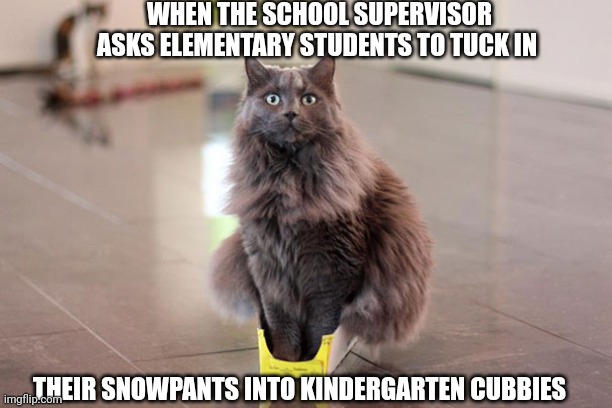 Too small | WHEN THE SCHOOL SUPERVISOR ASKS ELEMENTARY STUDENTS TO TUCK IN; THEIR SNOWPANTS INTO KINDERGARTEN CUBBIES | image tagged in teachers | made w/ Imgflip meme maker