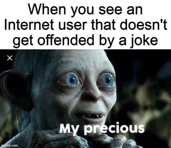 My precious | When you see an Internet user that doesn't get offended by a joke | image tagged in my precious | made w/ Imgflip meme maker