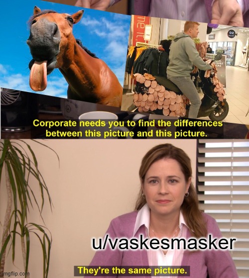 They're The Same Picture Meme | u/vaskesmasker | image tagged in memes,they're the same picture | made w/ Imgflip meme maker