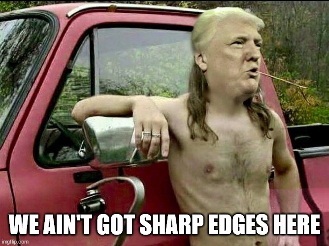 Trump Hick | WE AIN'T GOT SHARP EDGES HERE | image tagged in trump hick | made w/ Imgflip meme maker