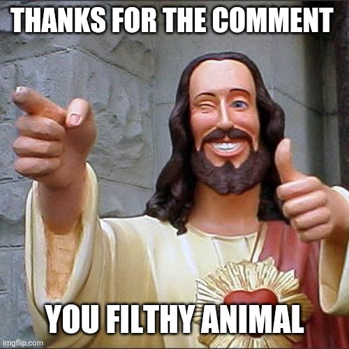 Buddy Christ Meme | THANKS FOR THE COMMENT YOU FILTHY ANIMAL | image tagged in memes,buddy christ | made w/ Imgflip meme maker