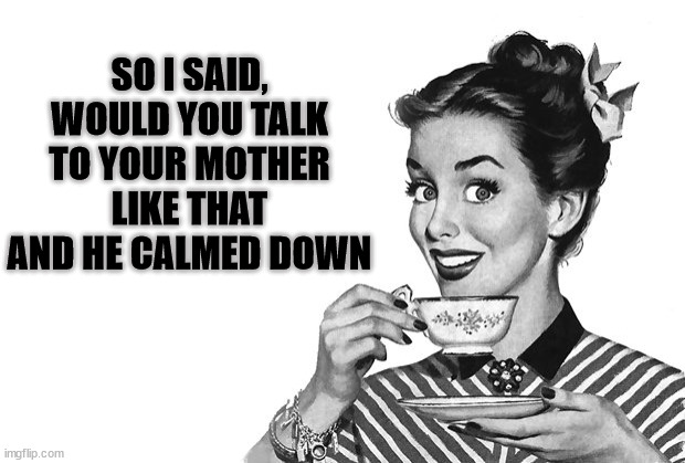 1950s Housewife | SO I SAID, WOULD YOU TALK TO YOUR MOTHER LIKE THAT AND HE CALMED DOWN | image tagged in 1950s housewife | made w/ Imgflip meme maker