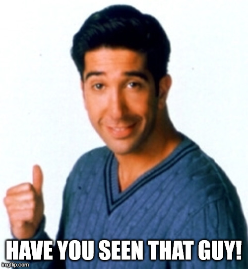 Ross Geller This Guy | HAVE YOU SEEN THAT GUY! | image tagged in ross geller this guy | made w/ Imgflip meme maker