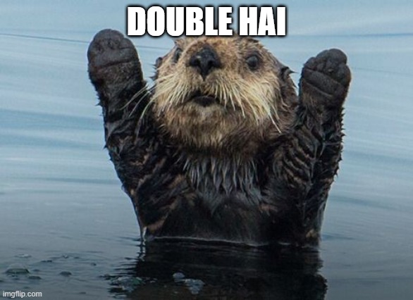 Hands up otter | DOUBLE HAI | image tagged in hands up otter | made w/ Imgflip meme maker