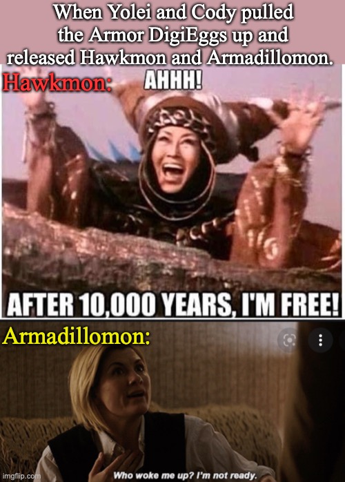 When Yolei and Cody pulled the Armor DigiEggs up and released Hawkmon and Armadillomon. Hawkmon:; Armadillomon: | image tagged in digimon | made w/ Imgflip meme maker