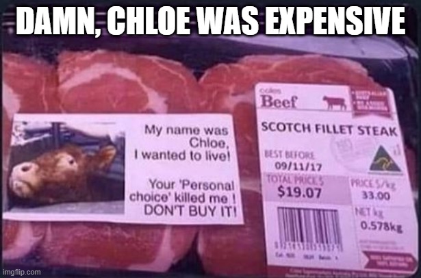 Pricey |  DAMN, CHLOE WAS EXPENSIVE | image tagged in meat | made w/ Imgflip meme maker