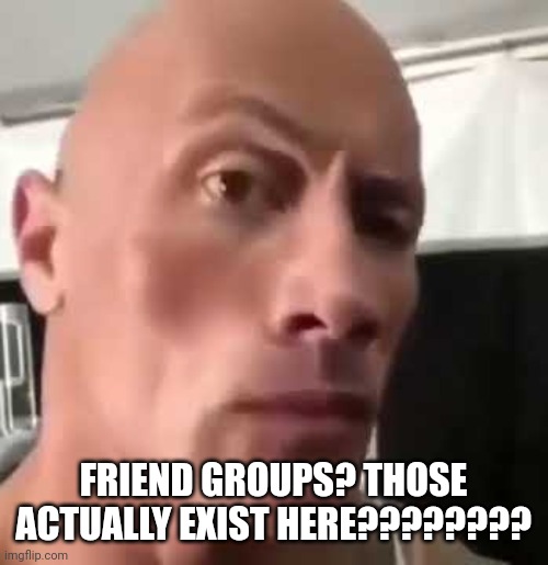 The Rock Eyebrows | FRIEND GROUPS? THOSE ACTUALLY EXIST HERE???????? | image tagged in the rock eyebrows | made w/ Imgflip meme maker