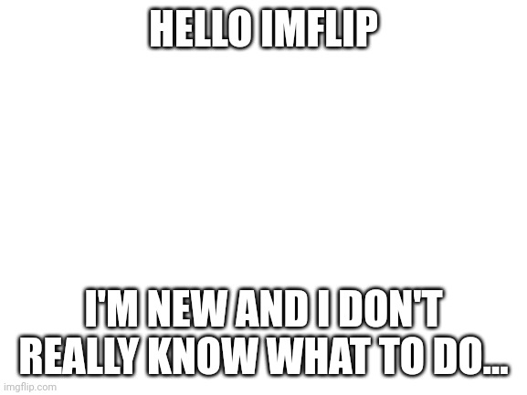 Hello imflip | HELLO IMFLIP; I'M NEW AND I DON'T REALLY KNOW WHAT TO DO... | image tagged in blank white template | made w/ Imgflip meme maker