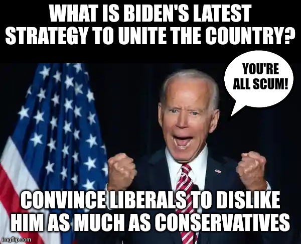 Democrats, this isn't how to unite the country. | WHAT IS BIDEN'S LATEST STRATEGY TO UNITE THE COUNTRY? YOU'RE ALL SCUM! CONVINCE LIBERALS TO DISLIKE HIM AS MUCH AS CONSERVATIVES | image tagged in cmon man,joe biden,angry,liberal logic,mind control,unity | made w/ Imgflip meme maker