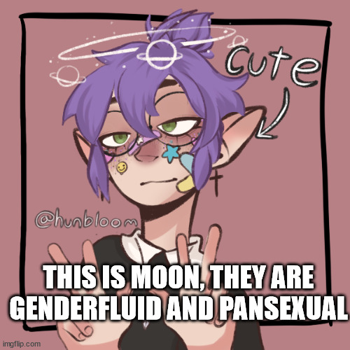 Moon | THIS IS MOON, THEY ARE GENDERFLUID AND PANSEXUAL | image tagged in moon | made w/ Imgflip meme maker