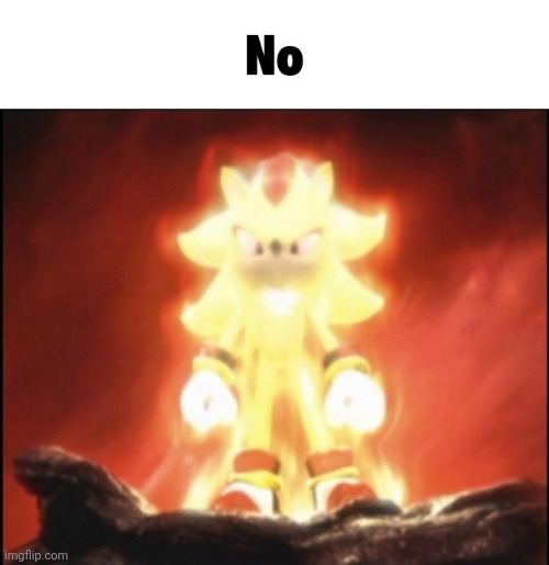 New meme temp | image tagged in super shadow no | made w/ Imgflip meme maker