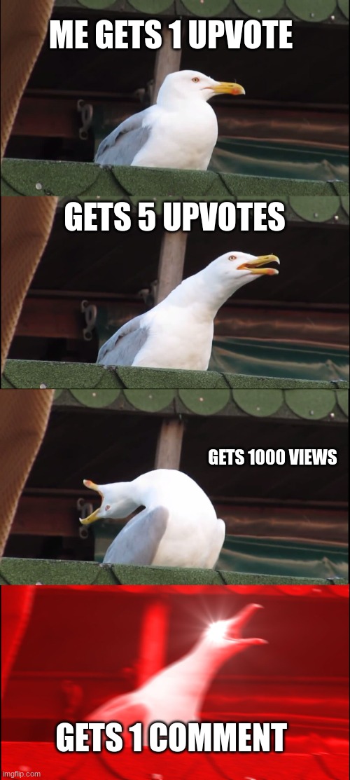 Inhaling Seagull Meme |  ME GETS 1 UPVOTE; GETS 5 UPVOTES; GETS 1000 VIEWS; GETS 1 COMMENT | image tagged in memes,inhaling seagull | made w/ Imgflip meme maker