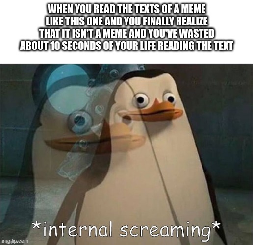 *Laughter* | WHEN YOU READ THE TEXTS OF A MEME LIKE THIS ONE AND YOU FINALLY REALIZE THAT IT ISN'T A MEME AND YOU'VE WASTED ABOUT 10 SECONDS OF YOUR LIFE READING THE TEXT | image tagged in private internal screaming | made w/ Imgflip meme maker