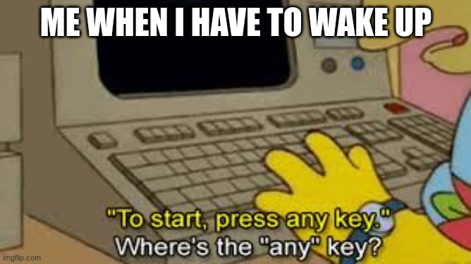 bruh | ME WHEN I HAVE TO WAKE UP | image tagged in funny | made w/ Imgflip meme maker