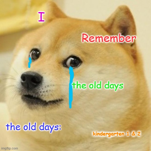 Doge Meme | I; Remember; the old days; the old days:; kindergarten 1 & 2 | image tagged in memes,doge | made w/ Imgflip meme maker