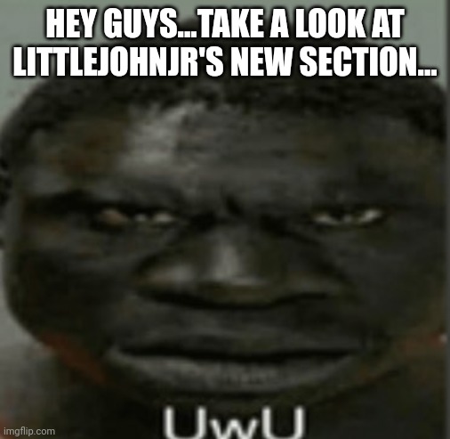 UwU | HEY GUYS...TAKE A LOOK AT LITTLEJOHNJR'S NEW SECTION... | image tagged in uwu | made w/ Imgflip meme maker