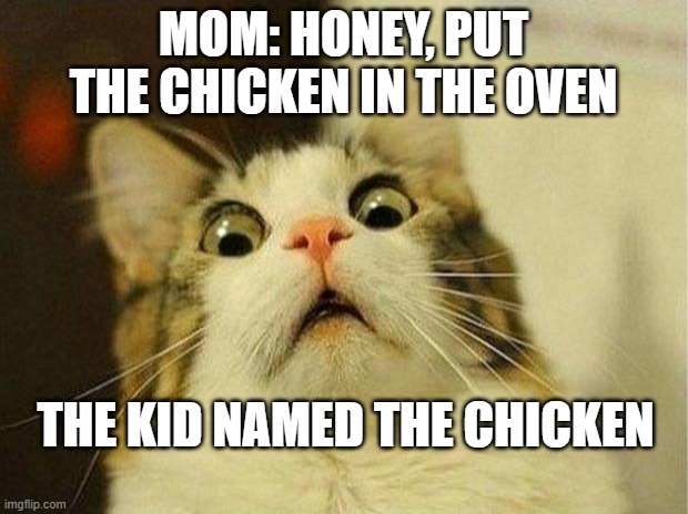 oH mY GoD | MOM: HONEY, PUT THE CHICKEN IN THE OVEN; THE KID NAMED THE CHICKEN | image tagged in memes,scared cat | made w/ Imgflip meme maker