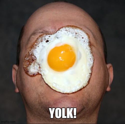 Egg on face | YOLK! | image tagged in egg on face | made w/ Imgflip meme maker