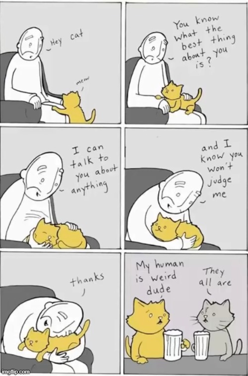 image tagged in comics | made w/ Imgflip meme maker