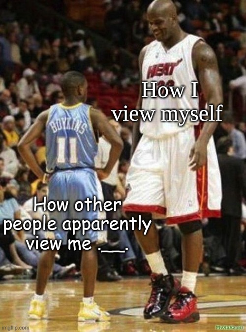 Tall vs Short Basketball | How I view myself; How other people apparently view me .__. | image tagged in tall vs short basketball | made w/ Imgflip meme maker