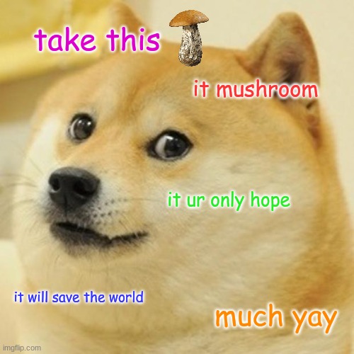 Doge Meme | take this; it mushroom; it ur only hope; it will save the world; much yay | image tagged in memes,doge,cringe,mushrooms,mushroom,save the earth | made w/ Imgflip meme maker
