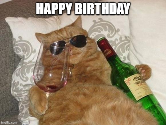 Funny Cat Birthday | HAPPY BIRTHDAY | image tagged in funny cat birthday | made w/ Imgflip meme maker