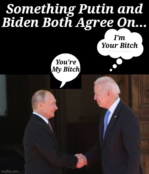 Something Putin & Biden Both Agree On... | Something Putin and Biden Both Agree On... I'm Your Bitch; You're My Bitch | image tagged in vladimir putin,joe biden,agree | made w/ Imgflip meme maker