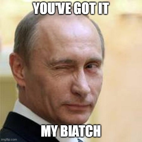 Putin Winking | YOU'VE GOT IT MY BIATCH | image tagged in putin winking | made w/ Imgflip meme maker