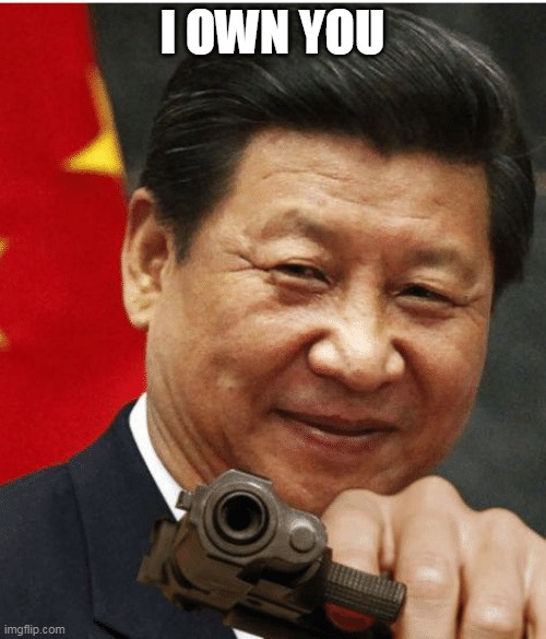 Xi Jinping | I OWN YOU | image tagged in xi jinping | made w/ Imgflip meme maker