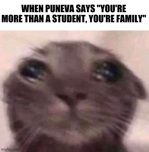 Cat crying | WHEN PUNEVA SAYS "YOU'RE MORE THAN A STUDENT, YOU'RE FAMILY" | image tagged in spge,kaloyan,puneva,cat,crying,school | made w/ Imgflip meme maker
