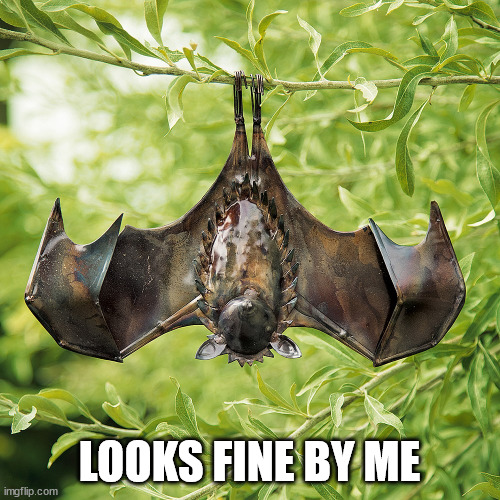 hanging bat | LOOKS FINE BY ME | image tagged in hanging bat | made w/ Imgflip meme maker