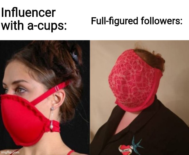 Influencer with a-cups: Full-figured followers: | made w/ Imgflip meme maker