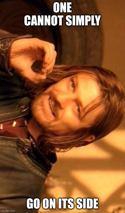 One Does Not Simply Meme | ONE CANNOT SIMPLY GO ON ITS SIDE | image tagged in memes,one does not simply | made w/ Imgflip meme maker