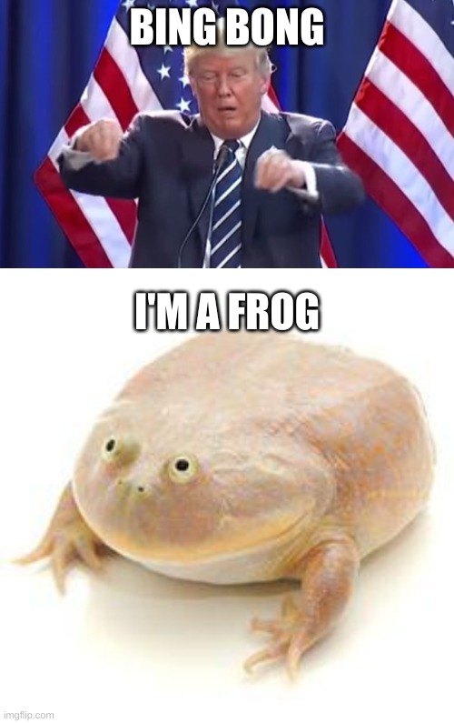 BING BONG; I'M A FROG | image tagged in bing bong donald trump,wednesday frog blank | made w/ Imgflip meme maker