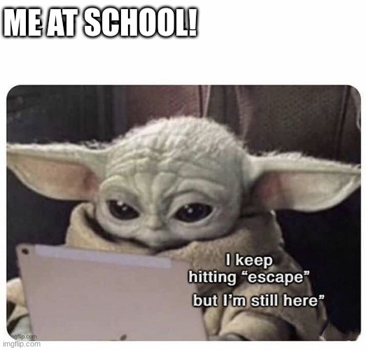 BabyY0da | ME AT SCHOOL! | image tagged in funny | made w/ Imgflip meme maker