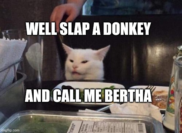 Salad cat | WELL SLAP A DONKEY; AND CALL ME BERTHA | image tagged in salad cat | made w/ Imgflip meme maker