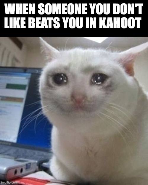 Is this relatable or what? | WHEN SOMEONE YOU DON'T LIKE BEATS YOU IN KAHOOT | image tagged in crying cat | made w/ Imgflip meme maker