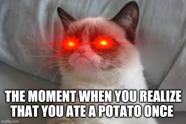 Yes | THE MOMENT WHEN YOU REALIZE THAT YOU ATE A POTATO ONCE | image tagged in yes | made w/ Imgflip meme maker