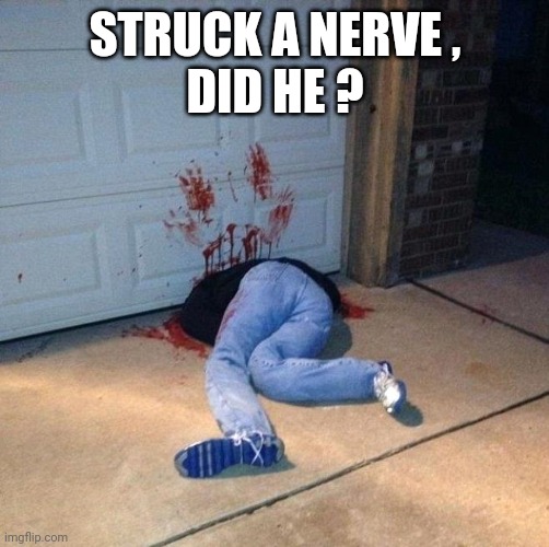 Damn that hurts | STRUCK A NERVE ,
DID HE ? | image tagged in damn that hurts | made w/ Imgflip meme maker
