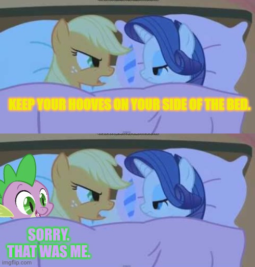 Sleepover problems | KEEP YOUR HOOVES ON YOUR SIDE OF THE BED. SORRY. THAT WAS ME. | image tagged in applejack,rarity,spike,mlp,sleepover | made w/ Imgflip meme maker