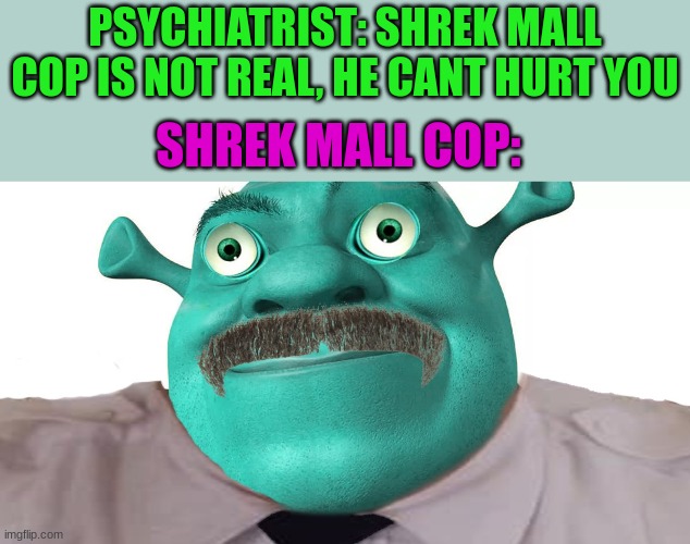 PSYCHIATRIST: SHREK MALL COP IS NOT REAL, HE CANT HURT YOU; SHREK MALL COP: | image tagged in shrek | made w/ Imgflip meme maker