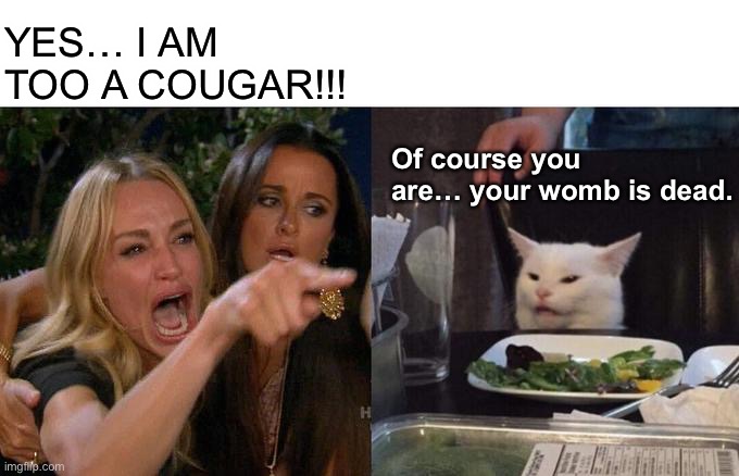 YES… I AM TOO A COUGAR!!! | YES… I AM TOO A COUGAR!!! Of course you are… your womb is dead. | image tagged in memes,woman yelling at cat | made w/ Imgflip meme maker