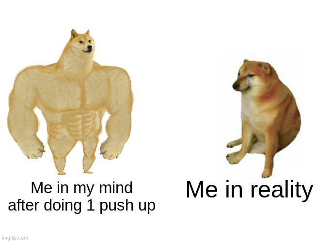 Buff Doge vs. Cheems | Me in reality; Me in my mind after doing 1 push up | image tagged in memes,buff doge vs cheems | made w/ Imgflip meme maker