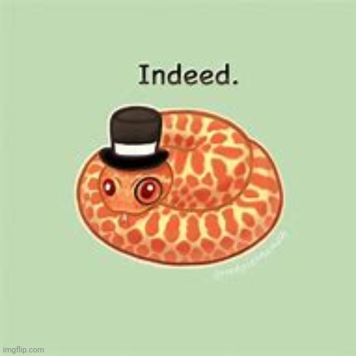 Indeed snek | image tagged in indeed snek | made w/ Imgflip meme maker