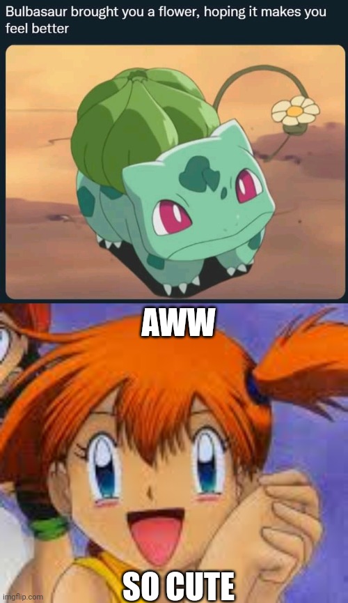 THANK YOU BULBASAUR! NOW I'M GONNA SPEND THE REST OF THE DAY PLAYING POKEMON. | AWW; SO CUTE | image tagged in pokemon,bulbasaur,misty,pokemon memes,video games | made w/ Imgflip meme maker