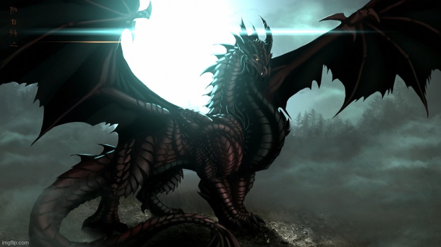black dragon | image tagged in black dragon | made w/ Imgflip meme maker