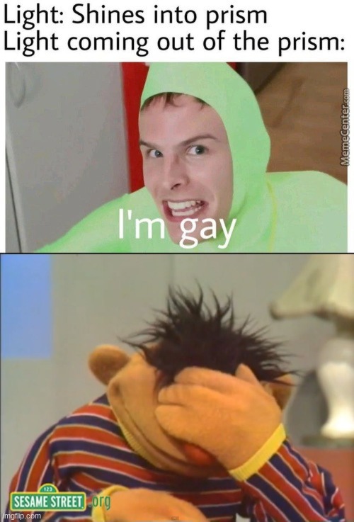 image tagged in gay,face palm ernie | made w/ Imgflip meme maker