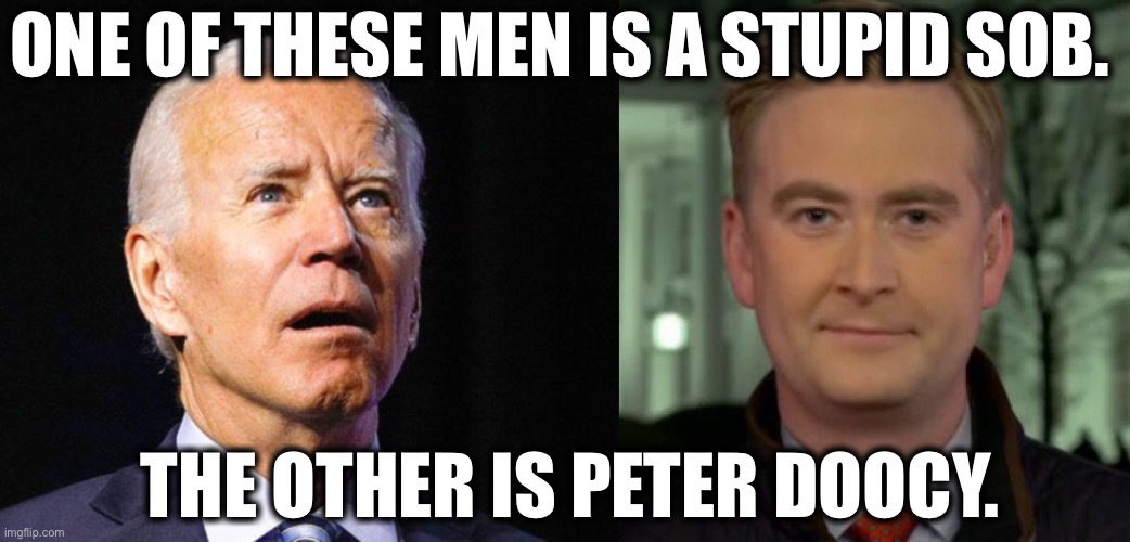 ONE OF THESE MEN IS A STUPID SOB. THE OTHER IS PETER DOOCY. | image tagged in joe biden | made w/ Imgflip meme maker